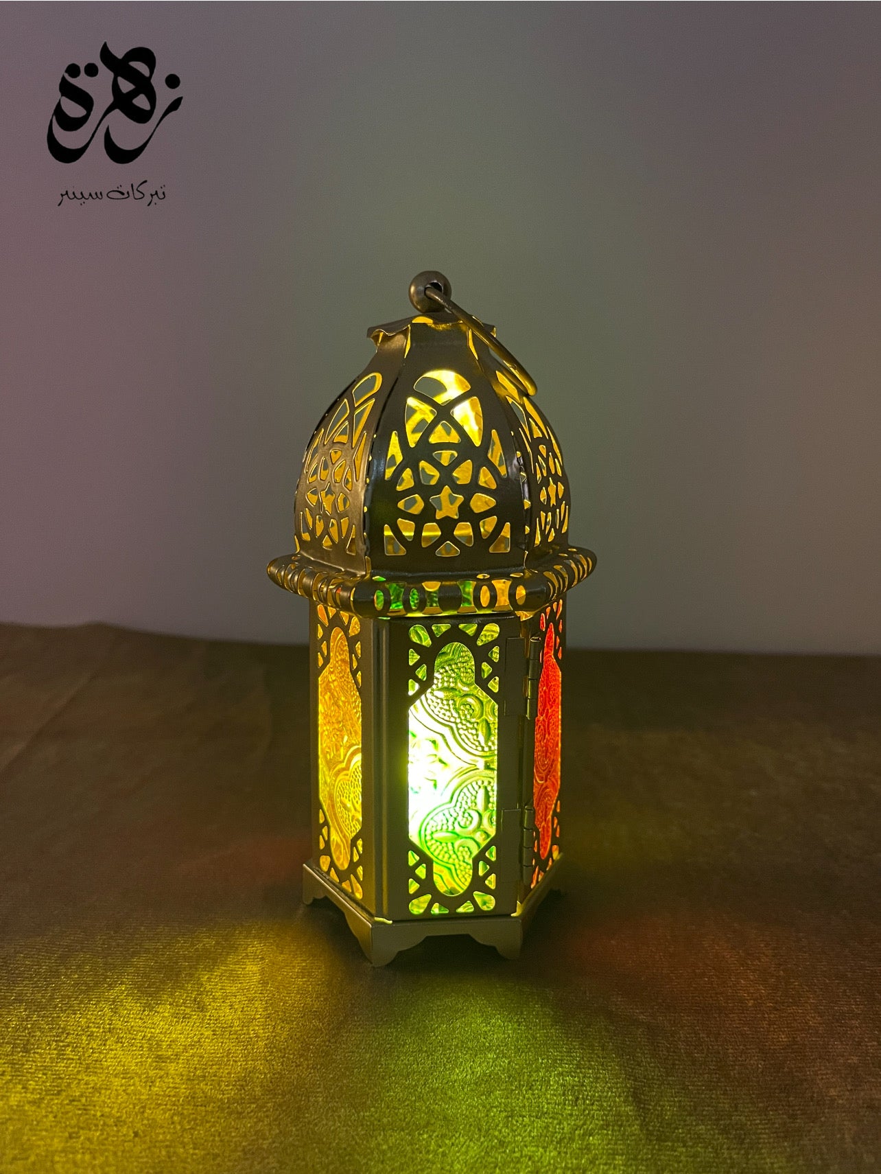 Metal Cage LED lamp light