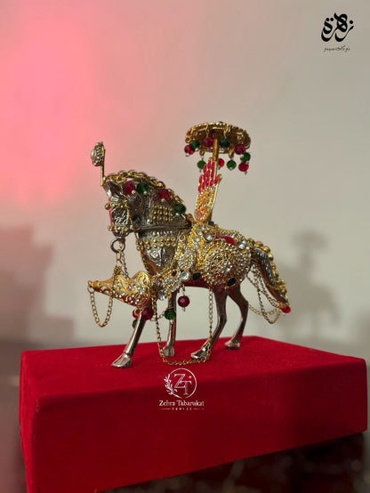 Zuljanah Ziyarat with Punja for Azakhana
